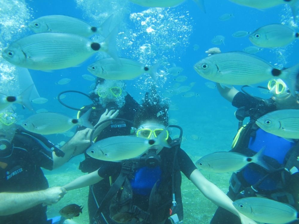 Fethiye Tüplü Dalış